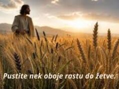ŽUPNI OGLASI – 16. NEDJELJA KROZ GODINU